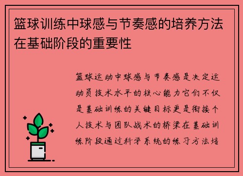 篮球训练中球感与节奏感的培养方法在基础阶段的重要性